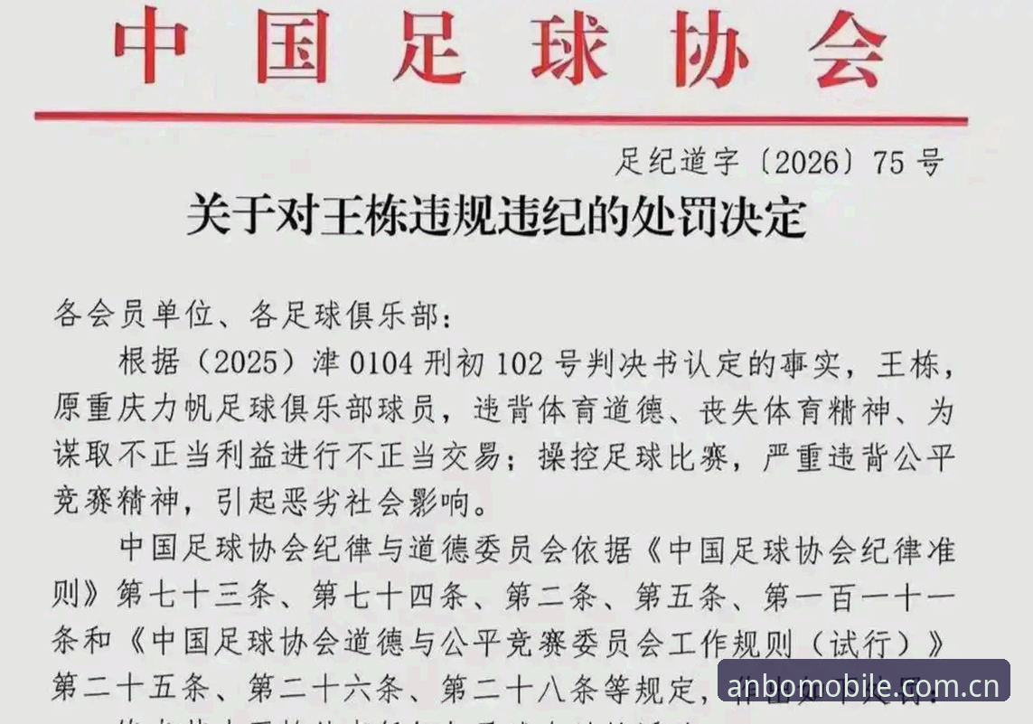 中国足协第三批禁足名单详解：安博体育平台全景呈现行业整顿动态